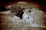by Luigino Solamito