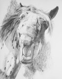 by Barbara Keith