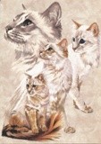 by Barbara Keith