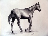 by Heather Farmstead