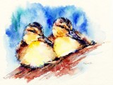 by Kathy Morton-Stanion