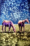 by Karin Ruoff Skalla