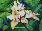 by Dell Belew