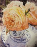 by Susan Kennedy