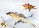 by Doris Blessington