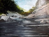 by Donna Taylor