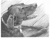 by mike theuer