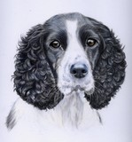 by Sue Clinker