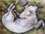 by nicole zeug