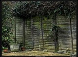 by CHRISTOPHER DONOHOE