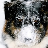 by Morgan Chichester