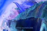 by Peter Hamlett