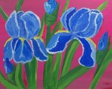 by Elizabeth Janus