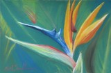 by Heidi Saufferer