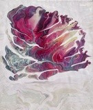 by Vanessa Bebeau