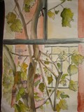 by radhika kapoor