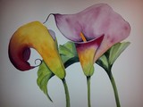 by Fabiene Mader