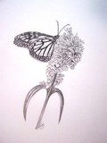 by Art Lover