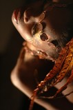 by RoByn Thompson