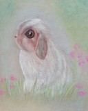 by Dawn Clayton