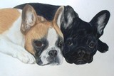 by Diane Kopczeski