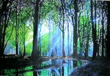 by Marie-Line vasseur