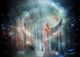 by Bluemoonshadow 