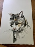by Max Handley