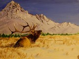 by john tukey