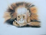 by Amanda Martin