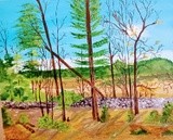 by Donald Northup