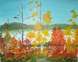 by Donald Northup