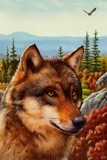 by Harri Honkala