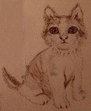 by Dana Koffenberger