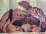 by Zareena Qureshi