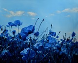 by Cene gál István