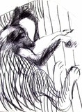 by luci reader