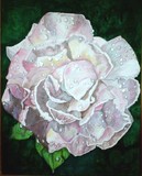 by Merilyn Carpenter