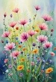 by Mihaela B