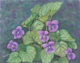 by Kathleen Brake