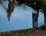 by masaco kuroda