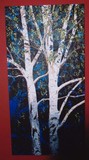 by Gayle Taylor