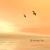 by Anne Vis