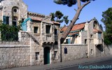 by Nira Dabush