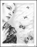 by Katerina Koukiotis