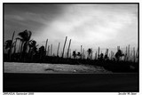 by JG 