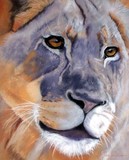 by Katherine Taylor-Green