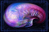 by Jo Glasscock