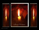 by DEE JOBES PHOTOGRAPHY