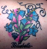 by stephanie atlee